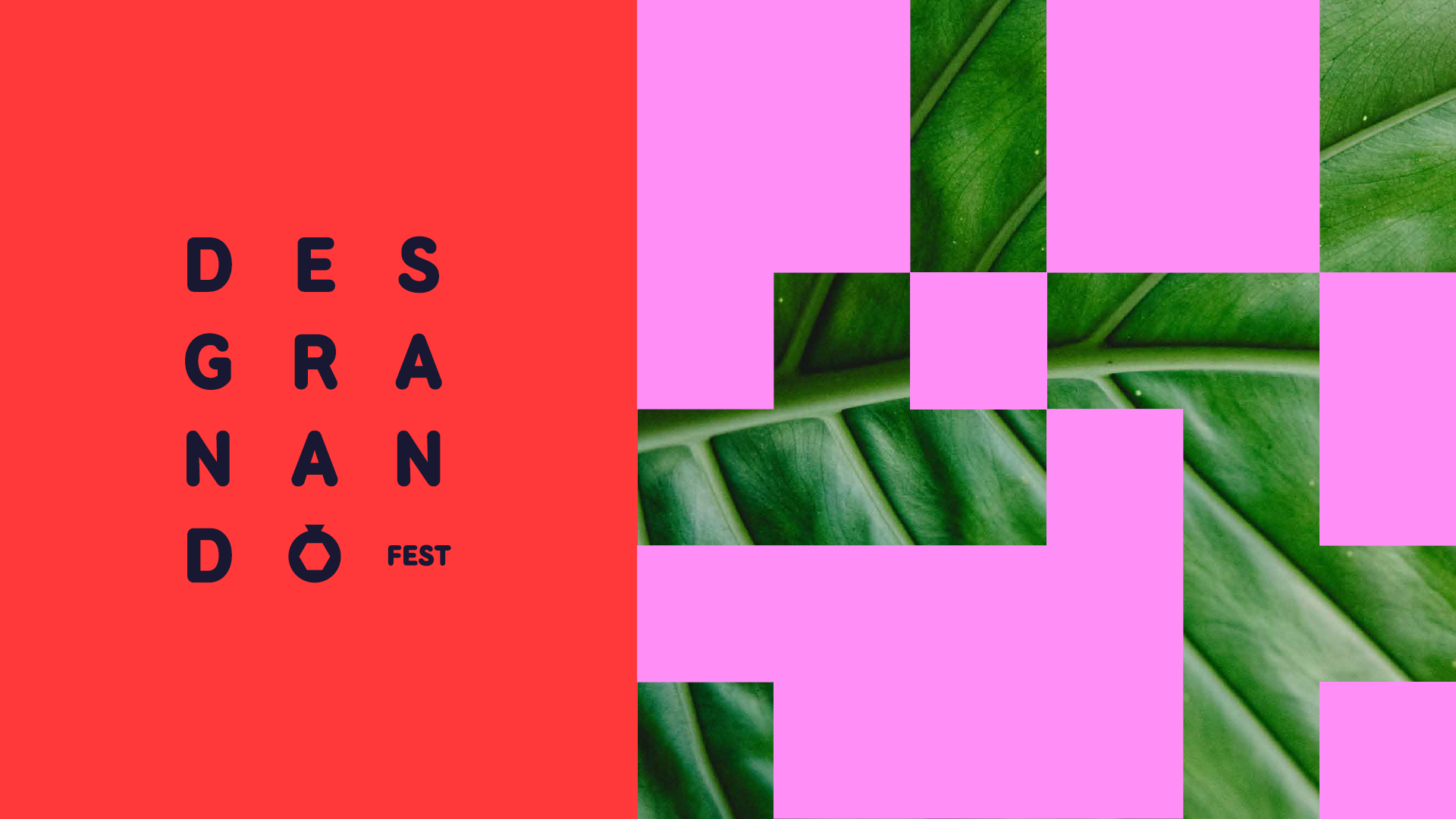 Imagen de portada de PROGRAMA DE VOLUNTARIADO DEL DESGRANANDO FEST